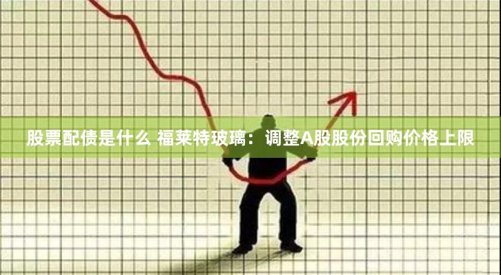 股票配债是什么 福莱特玻璃：调整A股股份回购价格上限