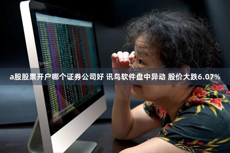 a股股票开户哪个证券公司好 讯鸟软件盘中异动 股价大跌6.07%