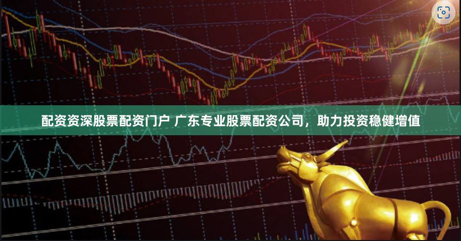 配资资深股票配资门户 广东专业股票配资公司，助力投资稳健增值